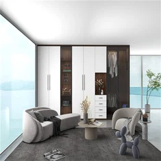 Armoire à portes en verre en aluminium